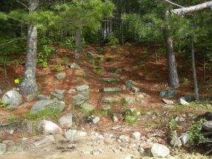 Campsite #318
