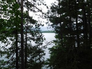 DSCN4696.jpg