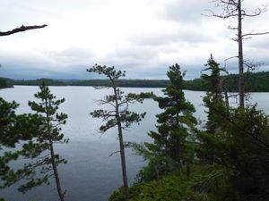 DSCN4697.jpg
