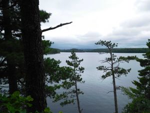 DSCN4698.jpg