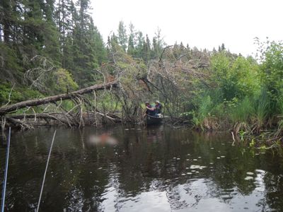 River obstacle