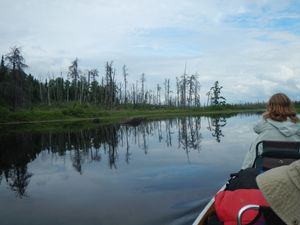 Isabella River fire damage