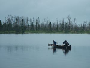 Northern pike at the canoe