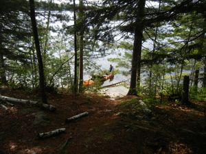 Campsite #318