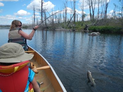 Bringin&amp;#39; a bass to the canoe