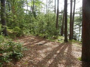 Campsite #318