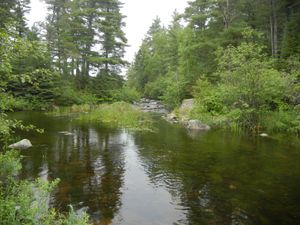 Lonely Portage