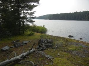 Campsite RW
