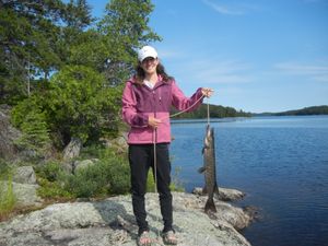 Nice Northern