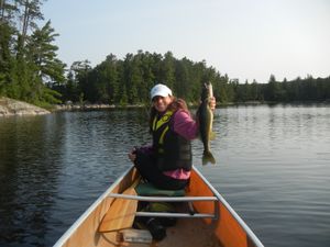 Nice Walleye