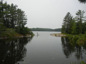 Campsite 11R