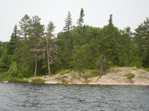 Campsite VS