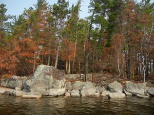 Campsite X8