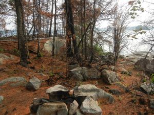 Campsite X8