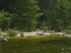 Campsite YG