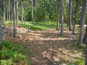 Campsite 671
