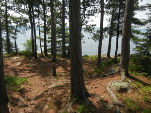 Campsite 671