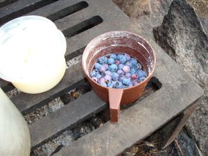 Blueberries for Pancakes
