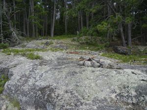 Remains of Campsite/Party Site