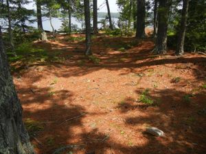 Campsite 670