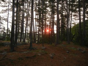 Campsite YG