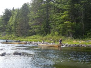 Struggling through the Rapids