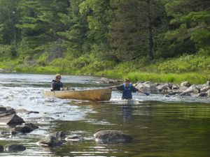 Struggling through the Rapids