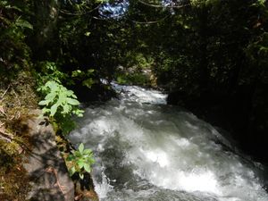 Quetico-Conk Portage