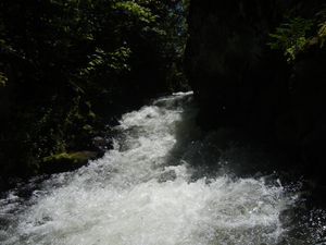 Quetico-Conk Portage