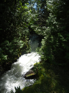 Quetico-Conk Portage