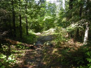 Quetico-Conk Portage