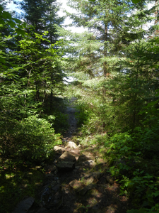 Quetico-Conk Portage