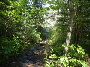 Quetico-Conk Portage