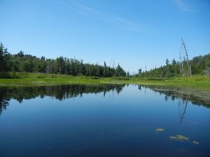 Between Rouge and Sturgeon