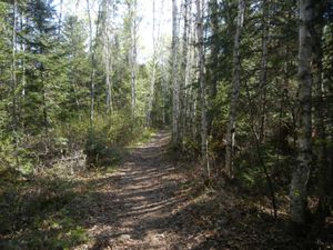 Portage to Little Gabbro