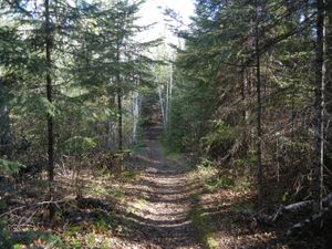 Portage to Little Gabbro