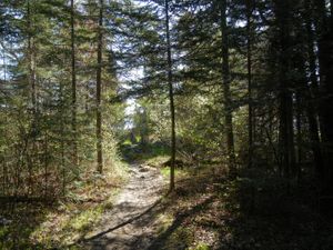 Portage to Little Gabbro