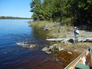 Campsite 1717