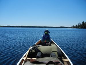 Bald Eagle Lake