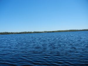 Bald Eagle Lake