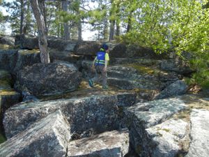 Having Fun on the Rocks