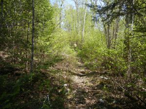 Turtle Lake Portage