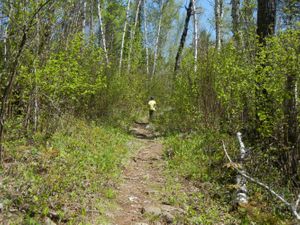 Turtle Lake Portage