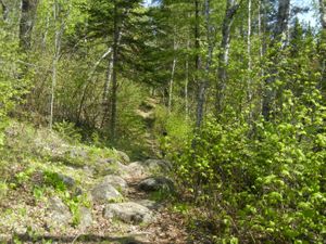 Turtle Lake Portage