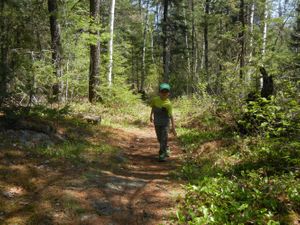 Turtle Lake Portage