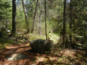 Turtle Lake Portage