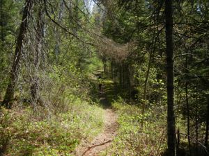 Turtle Lake Portage