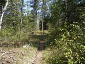 Turtle Lake Portage