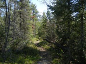 Turtle Lake Portage