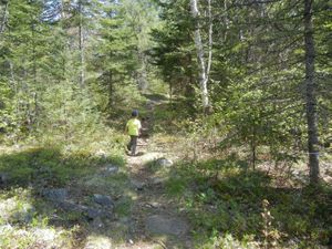 Turtle Lake Portage